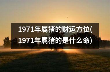 1971年属猪的财运方位(1971年属猪的是什么命)