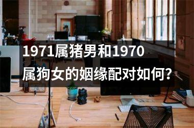1971属猪男和1970属狗女的姻缘配对如何？
