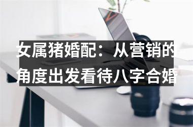 女属猪婚配：从营销的角度出发看待八字合婚