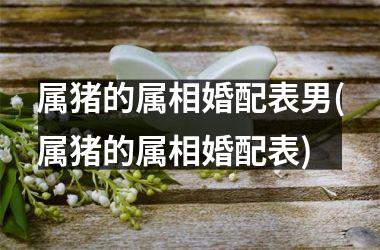 属猪的属相婚配表男(属猪的属相婚配表)