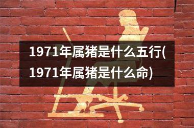 1971年属猪是什么五行(1971年属猪是什么命)