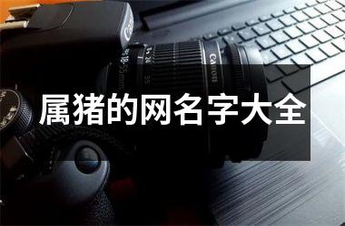 属猪的网名字大全