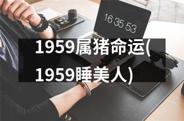 1959属猪命运(1959睡美人)