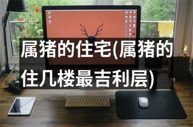 属猪的住宅(属猪的住几楼吉利层)