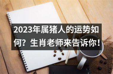 2025年属猪人的运势如何？生肖老师来告诉你！