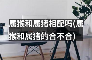 属猴和属猪相配吗(属猴和属猪的合不合)