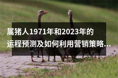 属猪人1971年和2025年的运程预测及如何利用营销策略提升运势