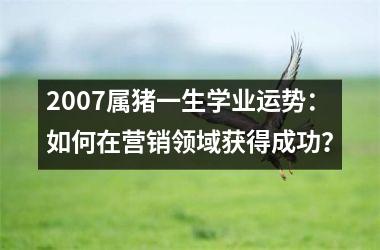 2007属猪一生学业运势：如何在营销领域获得成功？