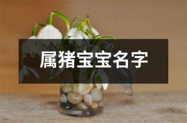 属猪宝宝名字