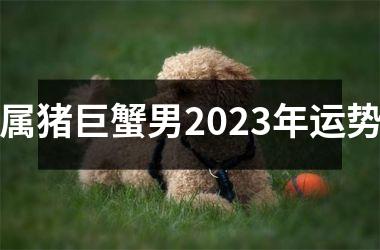 属猪巨蟹男2025年运势
