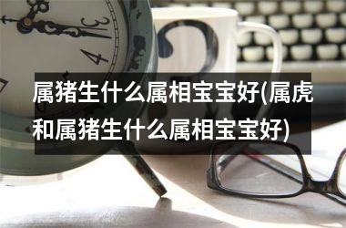 属猪生什么属相宝宝好(属虎和属猪生什么属相宝宝好)