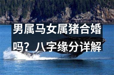 男属马女属猪合婚吗？八字缘分详解