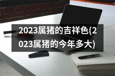 2025属猪的吉祥色(2025属猪的今年多大)