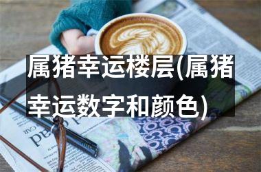 属猪幸运楼层(属猪幸运数字和颜色)