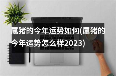 属猪的今年运势如何(属猪的今年运势怎么样2025)