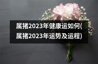 属猪2025年健康运如何(属猪2025年运势及运程)