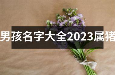 男孩名字大全2025属猪