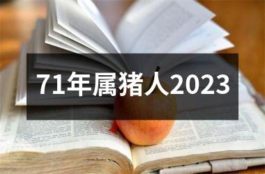 <h3>71年属猪人2025