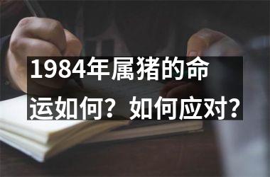 1984年属猪的命运如何？如何应对？