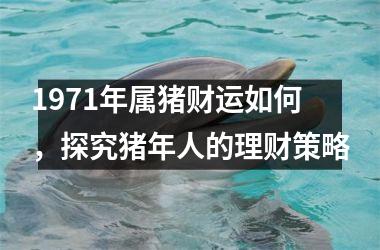 1971年属猪财运如何，探究猪年人的理财策略