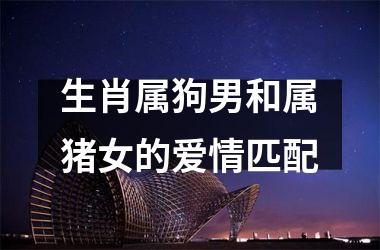 生肖属狗男和属猪女的爱情匹配