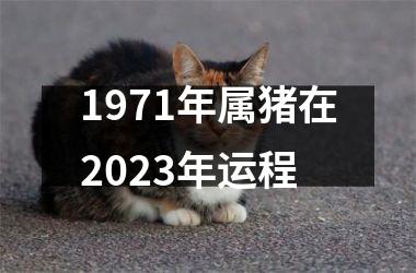 1971年属猪在2025年运程