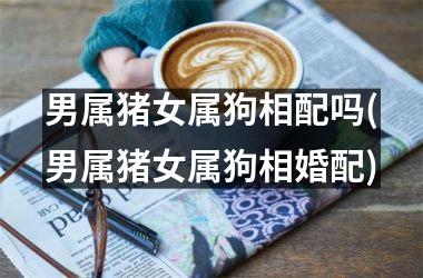 男属猪女属狗相配吗(男属猪女属狗相婚配)