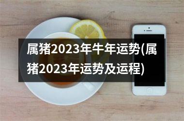 属猪2025年牛年运势(属猪2025年运势及运程)