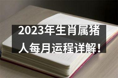 2025年生肖属猪人每月运程详解！