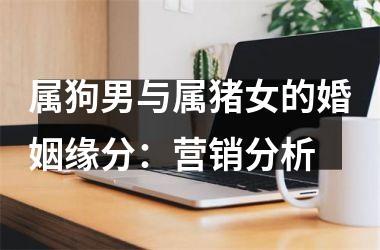 属狗男与属猪女的婚姻缘分：营销分析