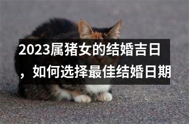 2025属猪女的结婚吉日，如何选择佳结婚日期