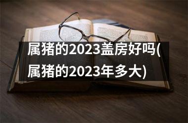 属猪的2025盖房好吗(属猪的2025年多大)