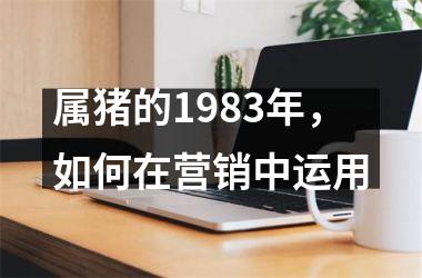 属猪的1983年，如何在营销中运用