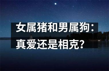 女属猪和男属狗：真爱还是相克？