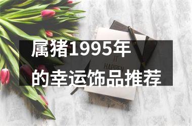 <h3>属猪1995年的幸运饰品推荐