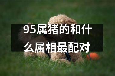 95属猪的和什么属相配对