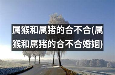 属猴和属猪的合不合(属猴和属猪的合不合婚姻)