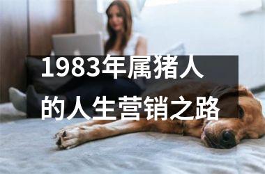 1983年属猪人的人生营销之路