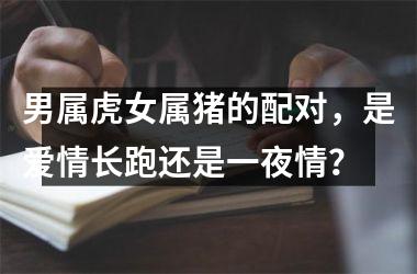 男属虎女属猪的配对，是爱情长跑还是一夜情？
