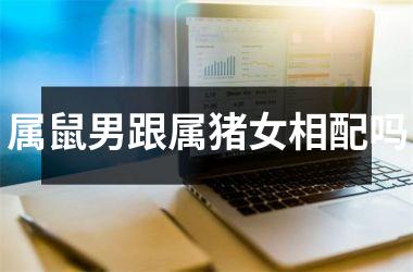 属鼠男跟属猪女相配吗