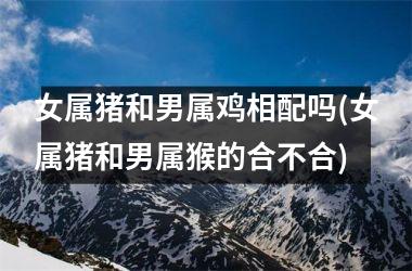 女属猪和男属鸡相配吗(女属猪和男属猴的合不合)