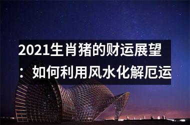 2025生肖猪的财运展望：如何利用风水化解厄运
