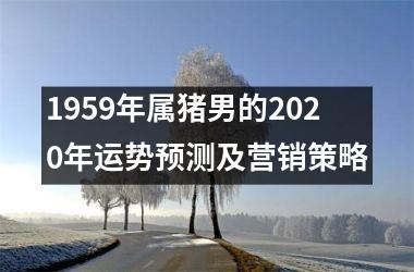 1959年属猪男的2025年运势预测及营销策略