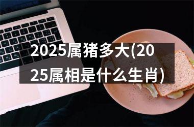 <h3>2025属猪多大(2025属相是什么生肖)