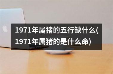 1971年属猪的五行缺什么(1971年属猪的是什么命)