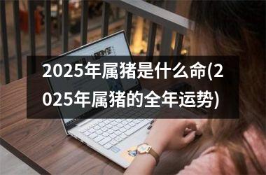 2025年属猪是什么命(2025年属猪的全年运势)