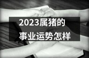 2025属猪的事业运势怎样