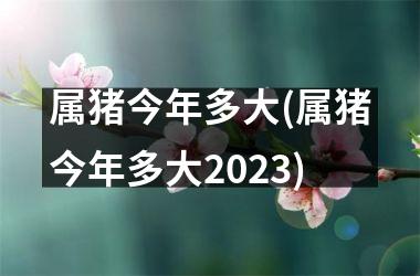 属猪今年多大(属猪今年多大2025)