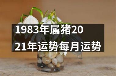1983年属猪2025年运势每月运势