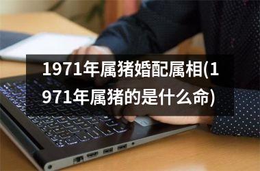 1971年属猪婚配属相(1971年属猪的是什么命)